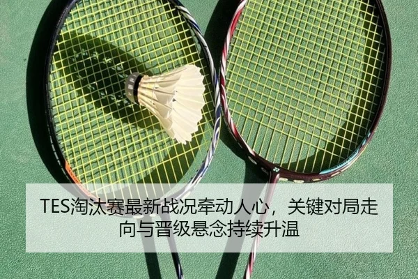 TES淘汰赛最新战况牵动人心，关键对局走向与晋级悬念持续升温